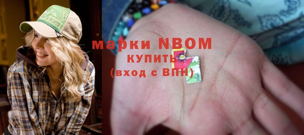 стаф Инсар
