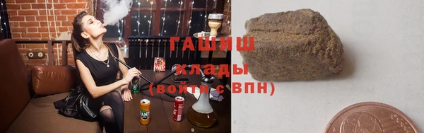 стаф Инта