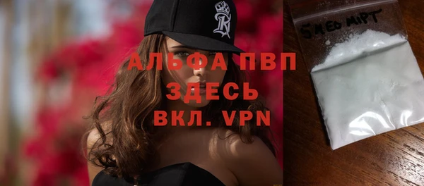 стаф Инта