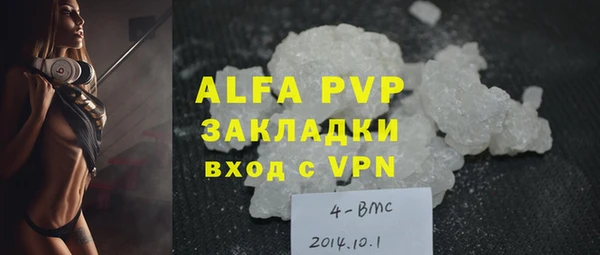 стаф Инта