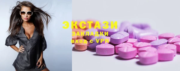 стаф Инта