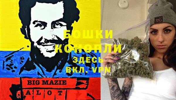 стаф Инсар