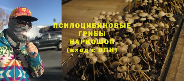 амф Зерноград