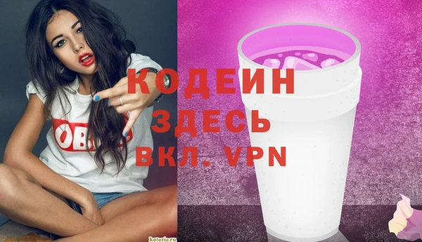 стаф Инсар