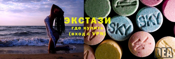 стаф Инта